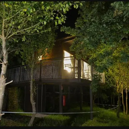 Mirador De Ezaro Kemp *